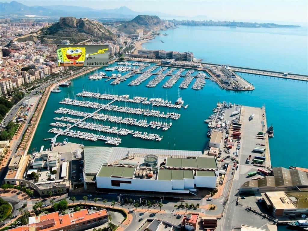Beach, City Center And Entertainment Alicante Exteriör bild